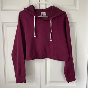 Divided Cropped Maroon hoodie